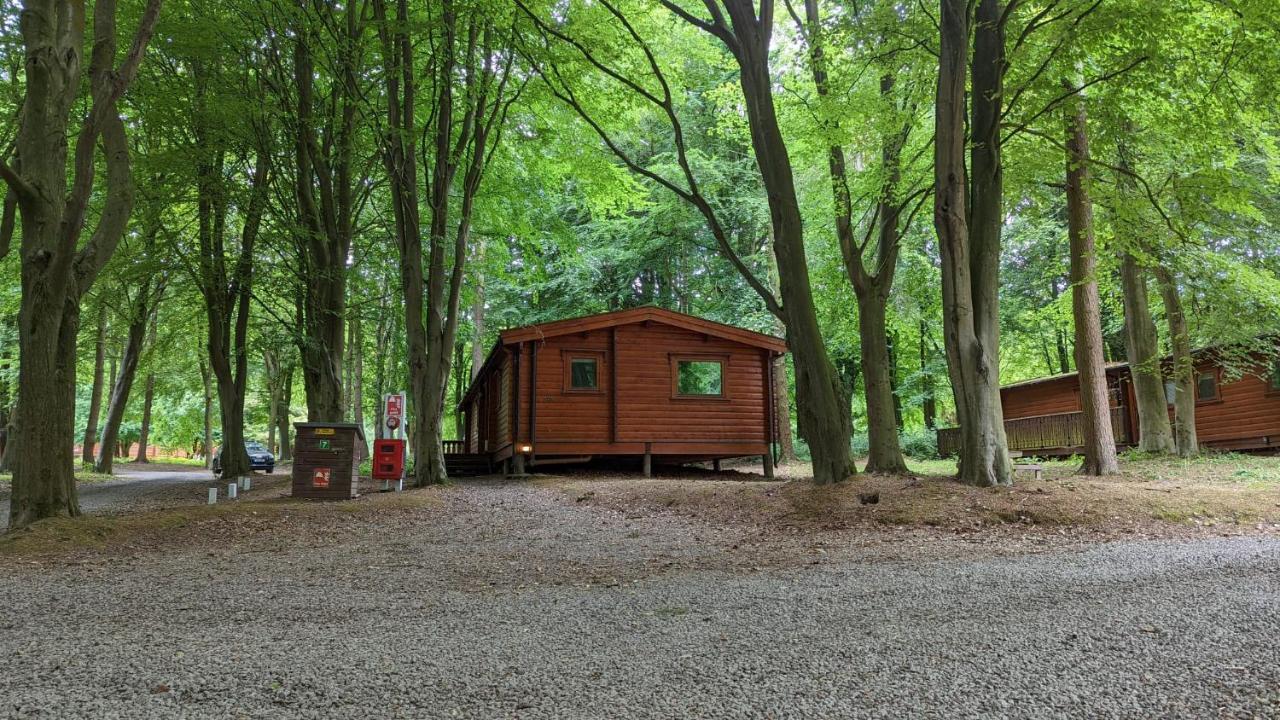 Villa Bamboo Retreat Louth  Esterno foto